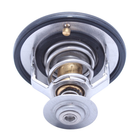 TERMOSTATO MAXUS T60 2017 2022