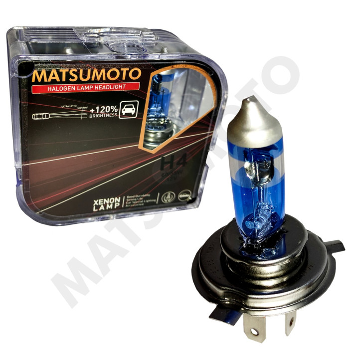 SET AMPOLLETA HALOGENA H4 12V...