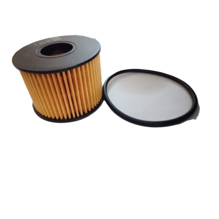 FILTRO ACEITE MANN FORD TERRITORY 1.5 2023 ON