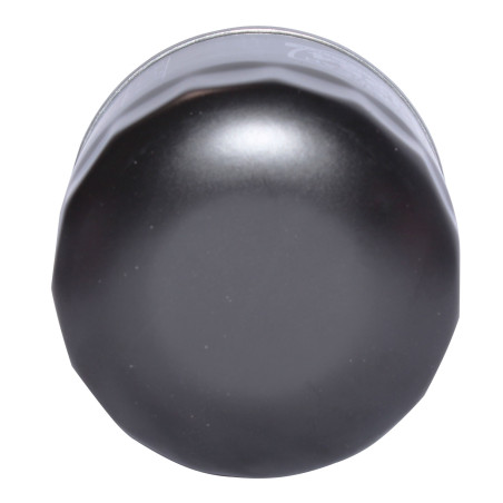 FILTRO ACEITE W818/8 STP