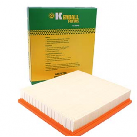 FILTRO AIRE C30185 MAXUS T60 2017/2023 OEM C00085321